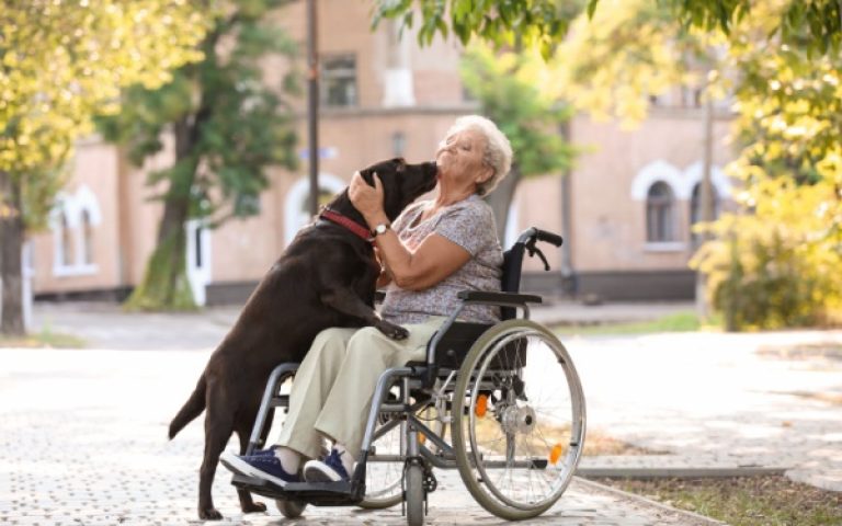 EHPAD et animaux de compagnie des résidents : les conditions sont connues !
