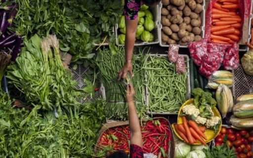 Loi sur la stabilité économique et la compétitivité du secteur agroalimentaire : quelles nouveautés ? 