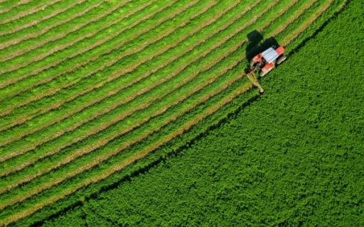 Souveraineté alimentaire : du nouveau ?