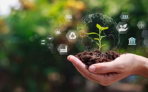 Agriculture : aides financières et respect de l’environnement