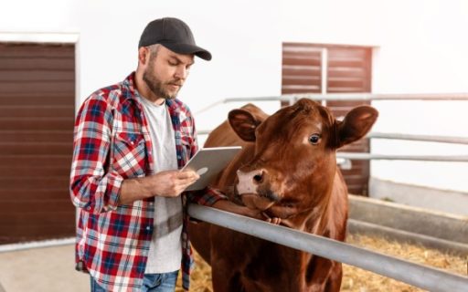 Agriculture : point sur la situation