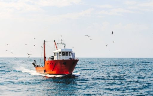 Exonération partielle d’impôt sur le revenu des marins pêcheurs : pour quel montant ?