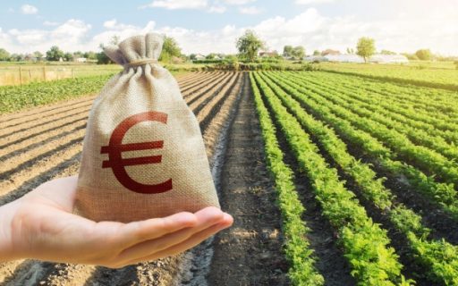 Aides à l’installation des jeunes agriculteurs : précisions sur les sanctions