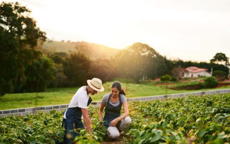 Ajustement de droits à paiement de base : quelques précisions pour les exploitants agricoles…