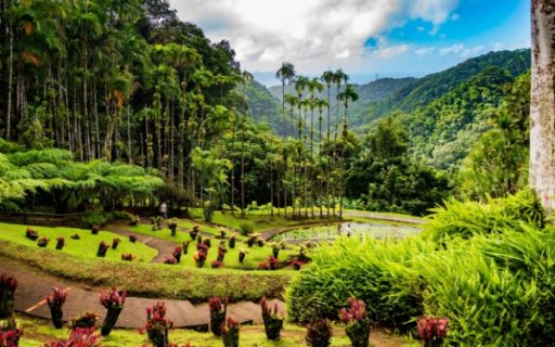 Impôts et taxes en Outremer : ce qui va changer en 2026