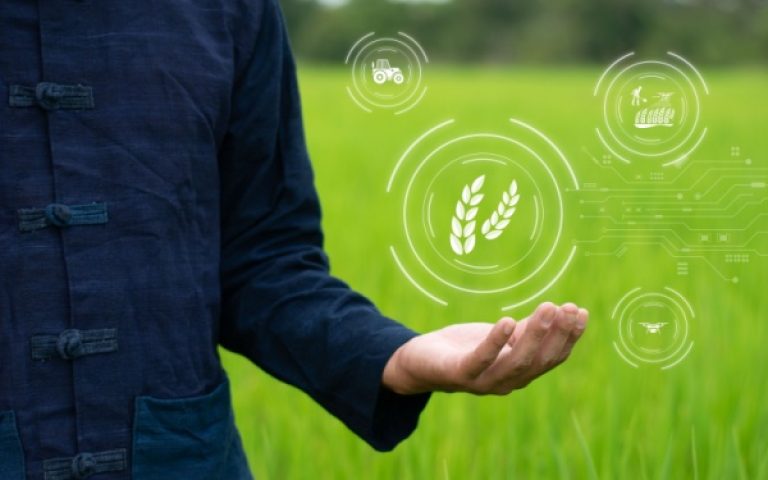 Agriculture : un droit à l’essai effectif !