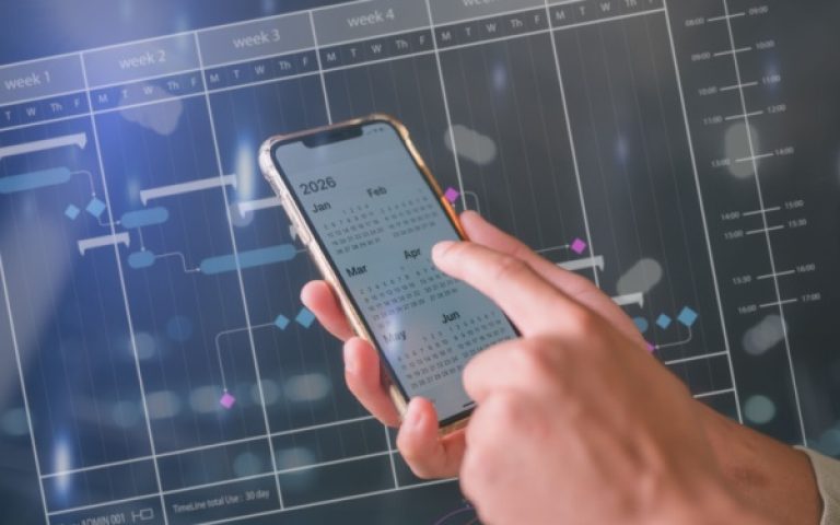 DSN de substitution : des précisions