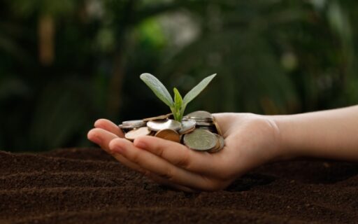 Politique agricole commune : évolutions concernant l’éligibilité aux aides financières