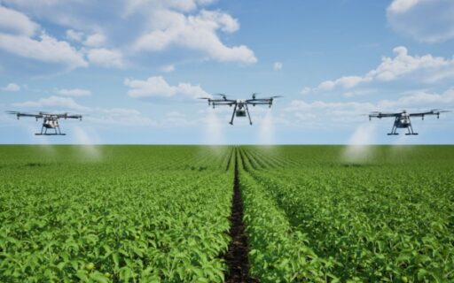 Produits phytosanitaires : détails sur la pulvérisation par drone