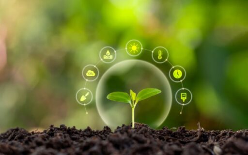 Mesures agroenvironnementales et climatiques : assouplissement de l’engagement