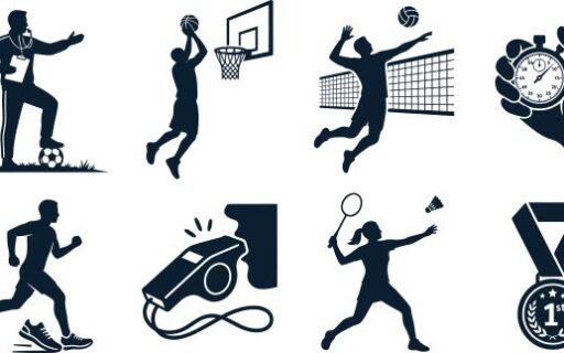 Organisation, gestion et financement du sport professionnel : réforme en cours