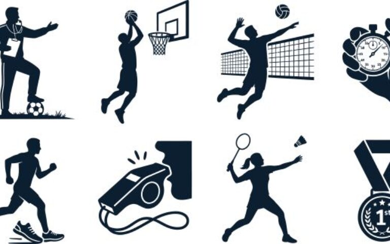 Organisation, gestion et financement du sport professionnel : réforme en cours