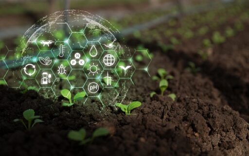 Agriculture : qui pilote la stratégie nationale d’installation et de transmission ?