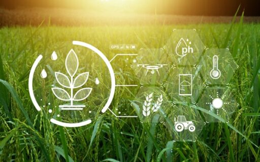 BCAE : une dérogation pour s’adapter au climat