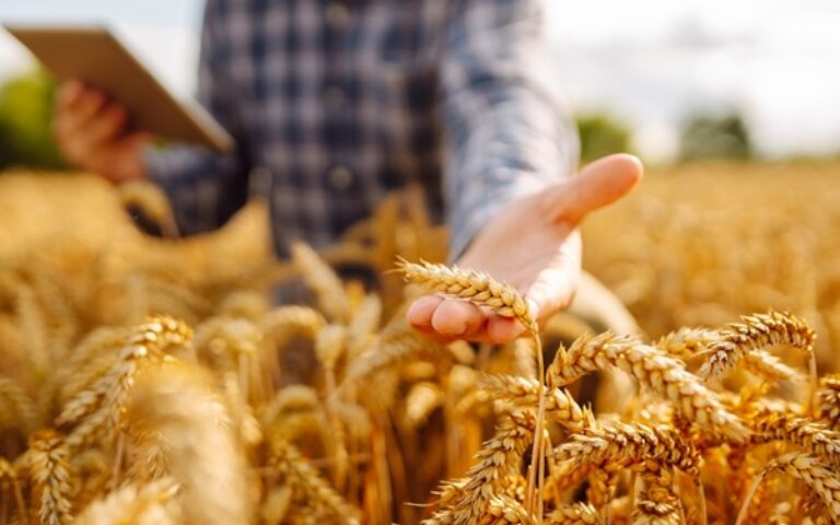 Cotisations agricoles : du nouveau pour le calcul en 2027